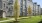 a building with trees in front