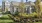 a large house with a garden in front of it