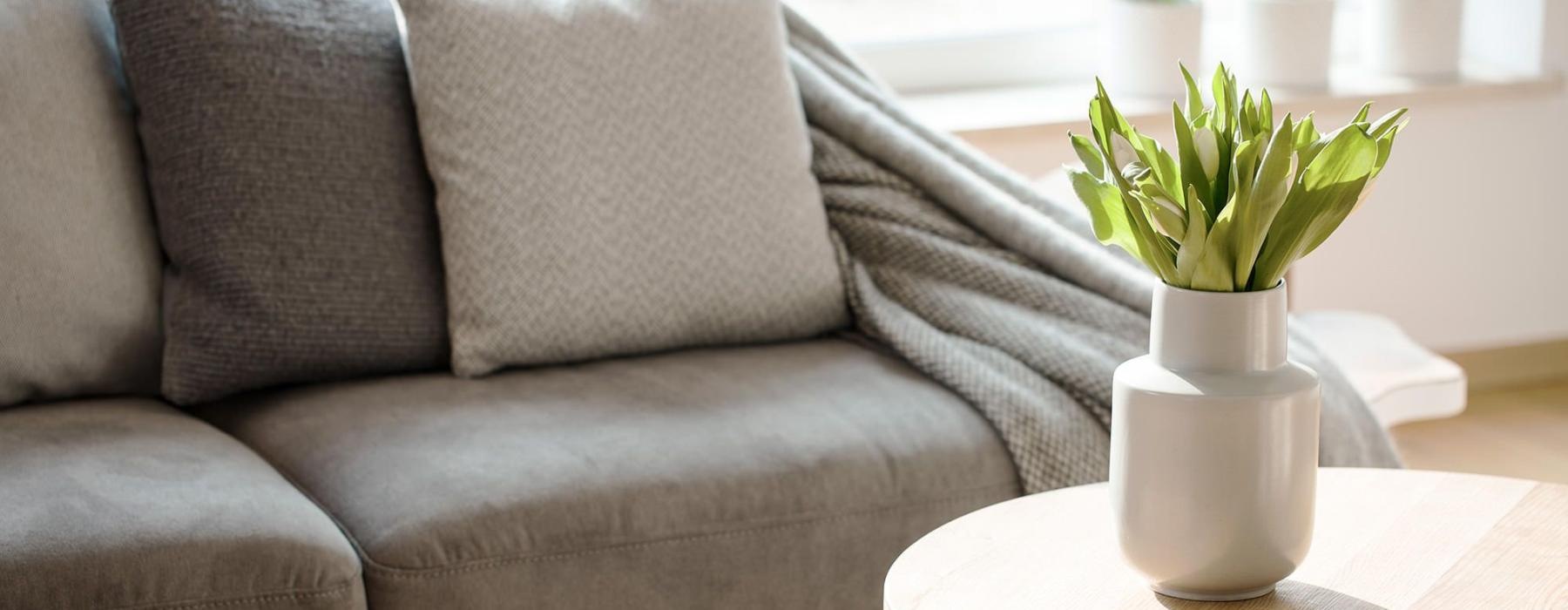 sunlight pours through a large window in furnished living room